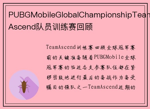 PUBGMobileGlobalChampionshipTeamAscend队员训练赛回顾